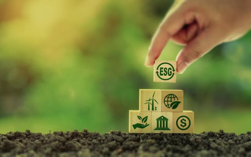 Embracing a Sustainable Lifestyle with Self Storage Units Bryant